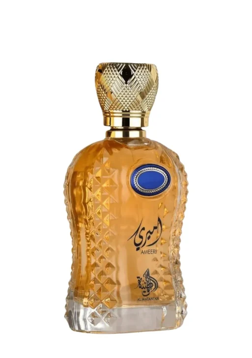 AMEERI AL WATANIAH