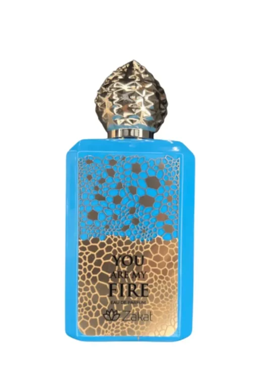 YOU ARE MY FIRE ZAKAT