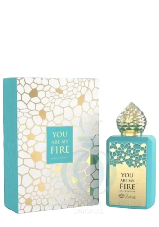 YOU ARE MY FIRE ZAKAT